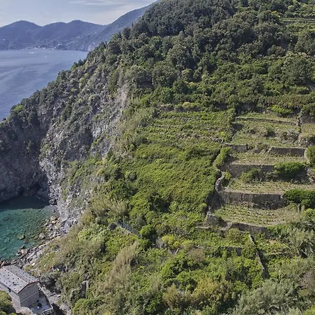 Marina Di Corniglia Big Flat In 5 Terre アパート ヴェルナッツァ