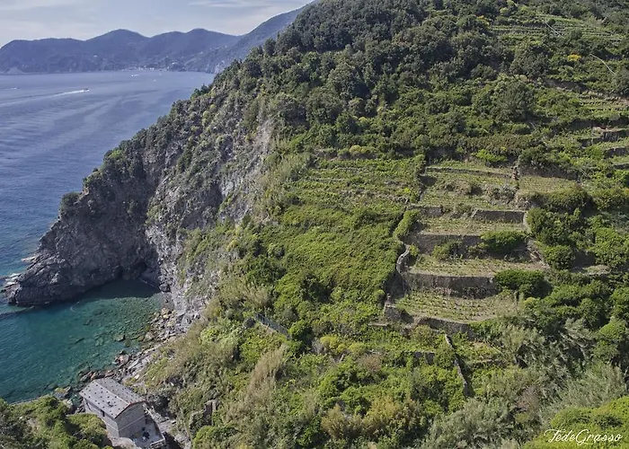 Marina Di Corniglia Big Flat In 5 Terre Appartement Vernazza